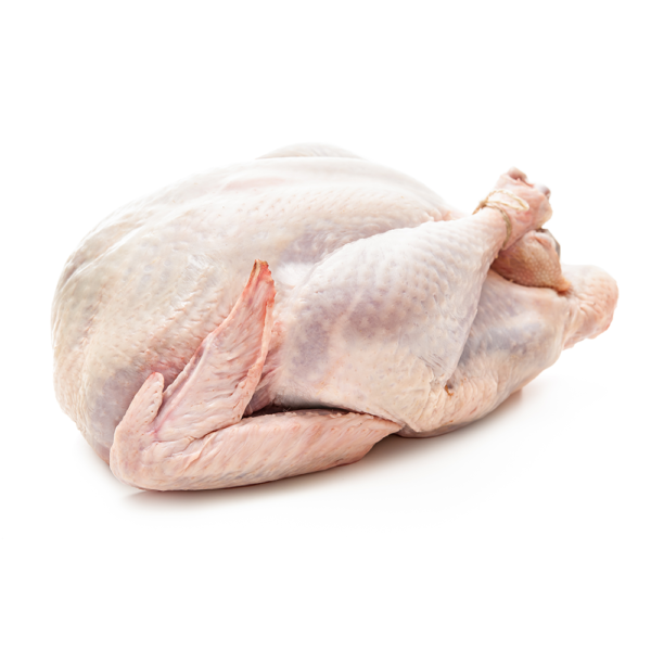 Fresh Whole Turkey