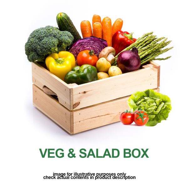 wdf-vegsaladbox.png